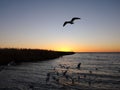 Juyan Lake Basin sunrise Royalty Free Stock Photo